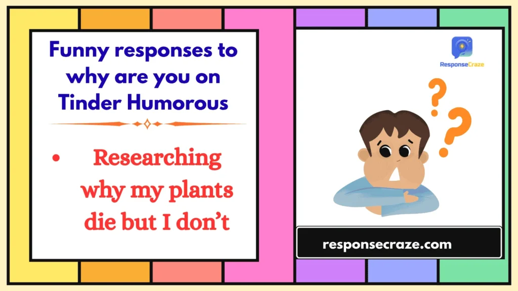 Funny responses to why are you on Tinder Humorous